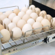 Naświetlacz szufladowy ze stali nierdzewnej na 30 jaj | 690552 stalgast